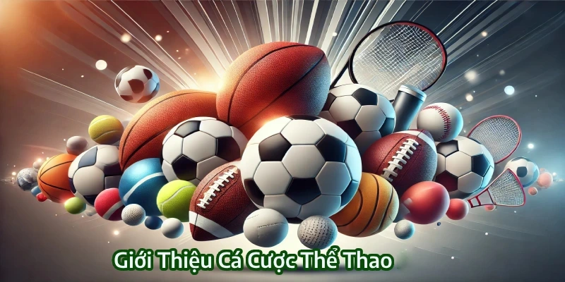 Dữ liệu cơ bản về cá cược thể thao