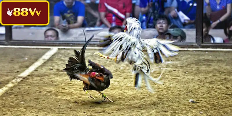 Trải nghiệm kho sản phẩm số lượng lớn mỗi ngày